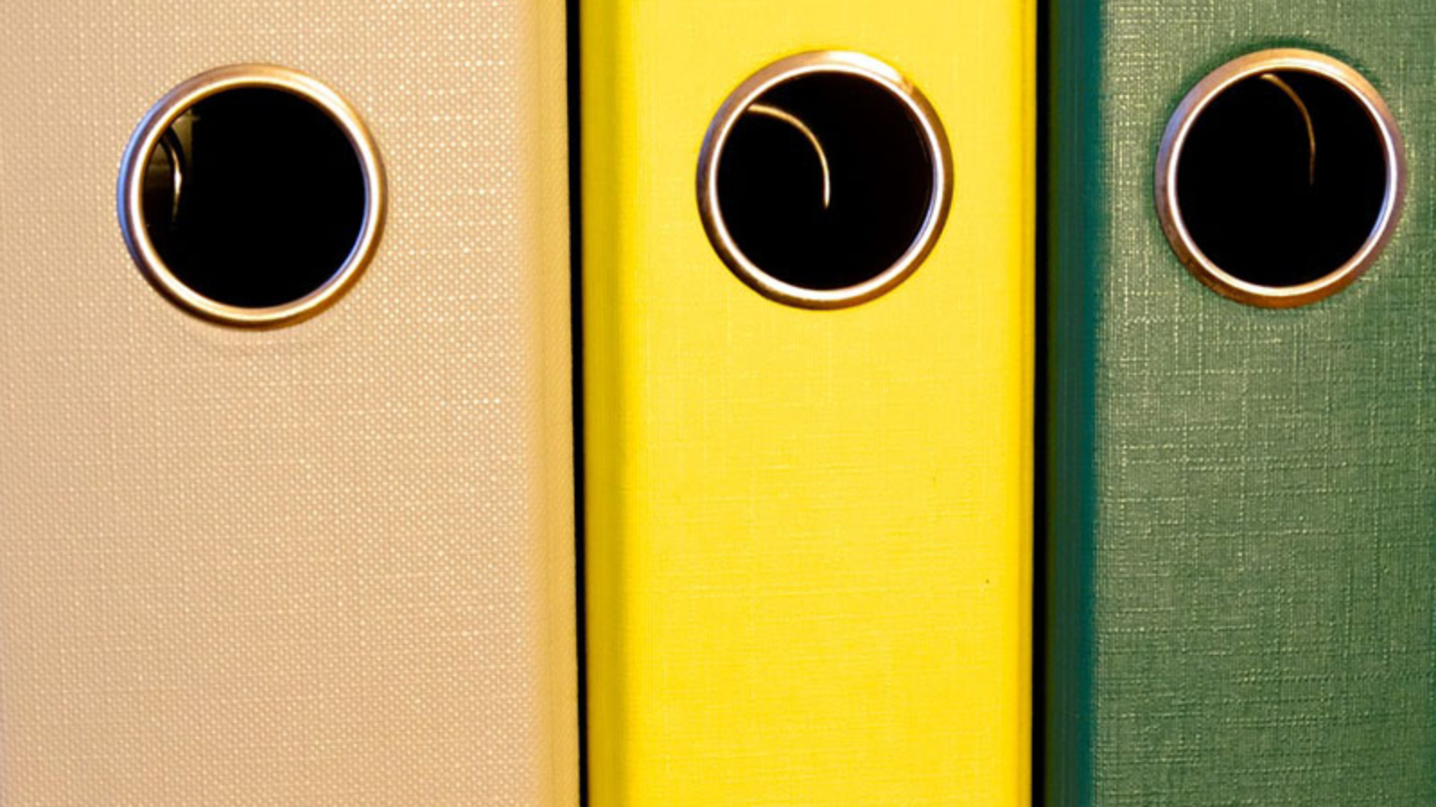 Wykaz podatników VAT